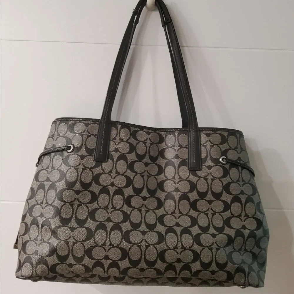 Coach Signature Stripe Carryall Tote